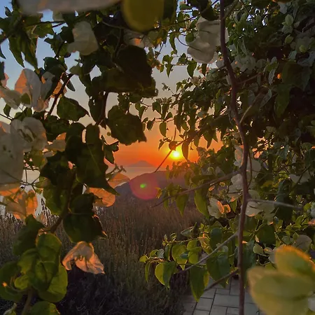 Çiftlik konaklama Country Monte Delle Cristule Lipari (Isola Lipari)